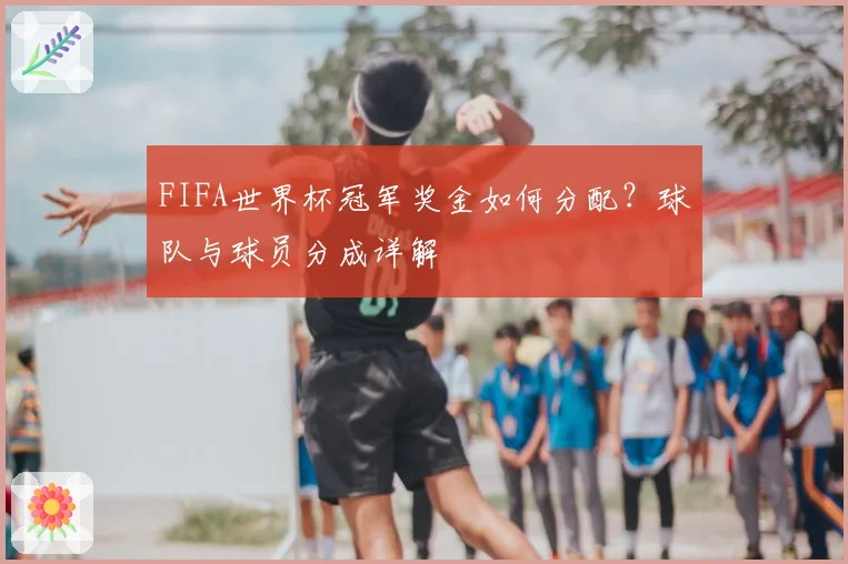 FIFA世界杯冠军奖金如何分配?球队与球员分成详解