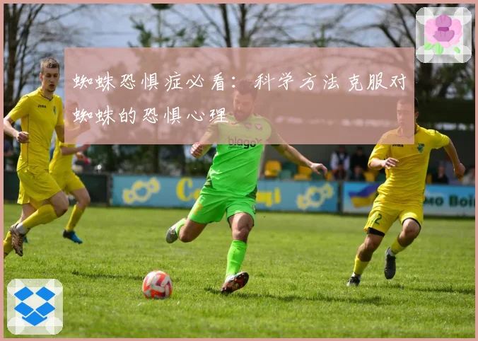 蜘蛛恐惧症必看:科学方法克服对蜘蛛的恐惧心理