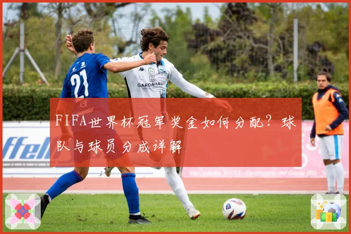 FIFA世界杯冠军奖金如何分配?球队与球员分成详解