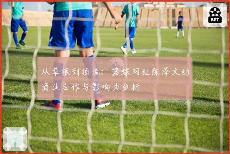 从草根到顶流：篮球网红陈泽文的商业合作与影响力分析