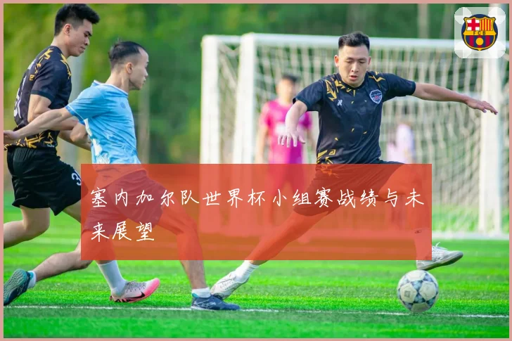 塞内加尔队世界杯小组赛战绩与未来展望